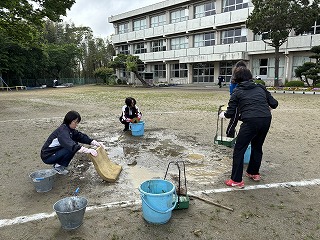 IMG_6981 IMG_6981
