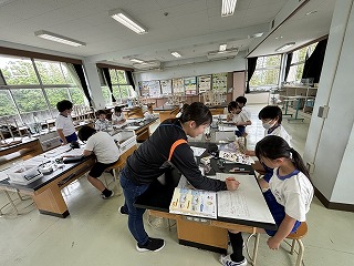 IMG_6947 IMG_6947