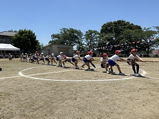 IMG_7264