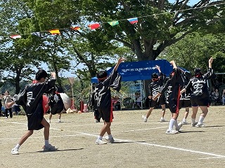 IMG_7284 IMG_7284