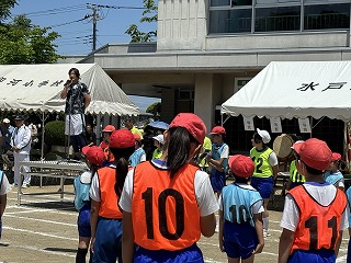 IMG_7332 IMG_7332