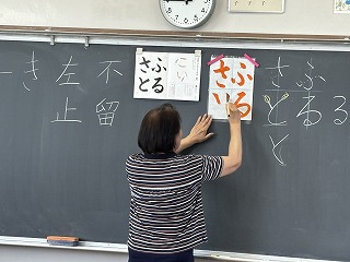 IMG_7381 IMG_7381