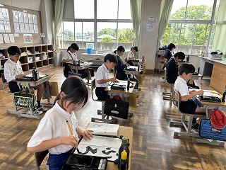IMG_7385 IMG_7385