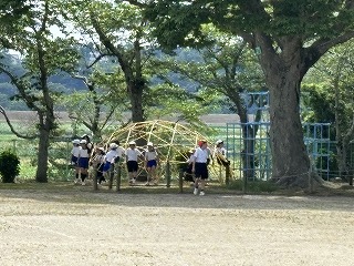 IMG_7399 IMG_7399