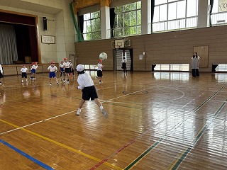 IMG_7393 IMG_7393