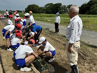 IMG_7421 IMG_7421