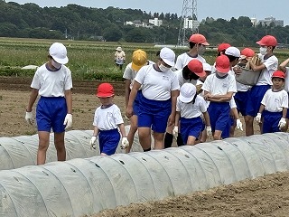 IMG_7443 IMG_7443