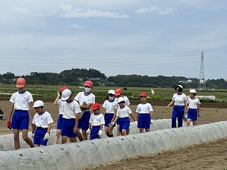 IMG_7445 IMG_7445
