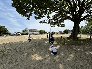IMG_7694 IMG_7694