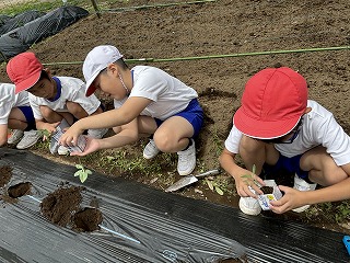 IMG_7879 IMG_7879