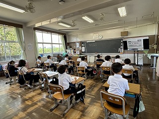 IMG_7956 IMG_7956