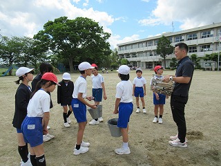 IMG_3713 IMG_3713