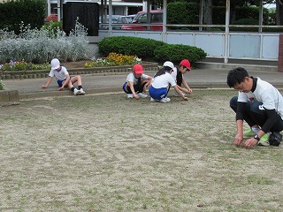 IMG_3705 IMG_3705
