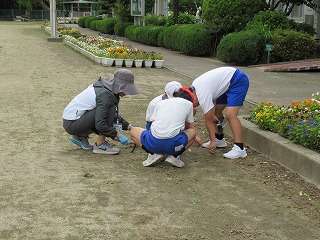 IMG_3706 IMG_3706