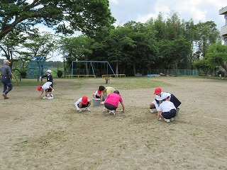 IMG_3708 IMG_3708