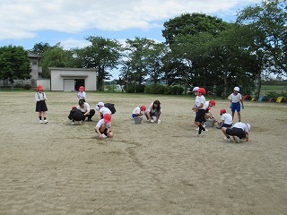 IMG_3709 IMG_3709