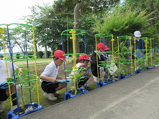 IMG_3686 IMG_3686
