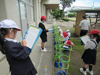 IMG_3694 IMG_3694