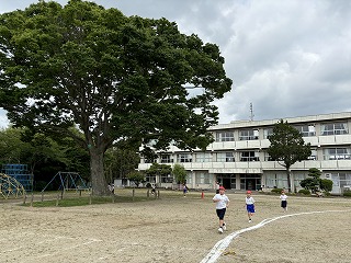IMG_8003 IMG_8003