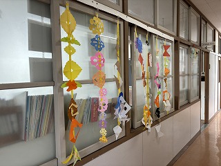 IMG_8073 IMG_8073