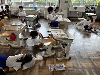 IMG_8255 IMG_8255