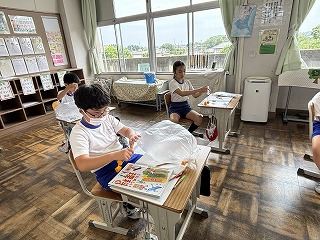 IMG_8263 IMG_8263