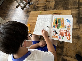 IMG_8273 IMG_8273