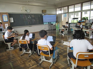 IMG_3847 IMG_3847