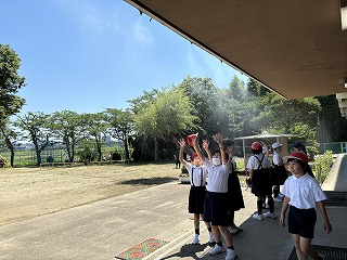 IMG_9166 IMG_9166