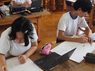 P7114545 P7114545