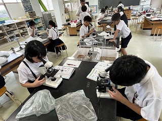 IMG_7852 IMG_7852