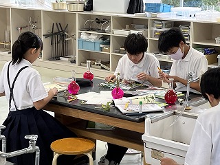 IMG_7848 IMG_7848