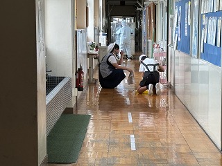 IMG_9537 IMG_9537