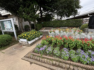 IMG_9579 IMG_9579