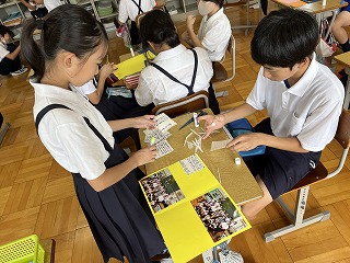 IMG_7818 IMG_7818