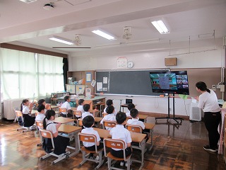 IMG_3954 IMG_3954