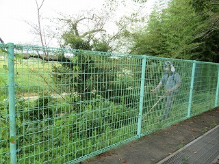 IMG_4071 IMG_4071