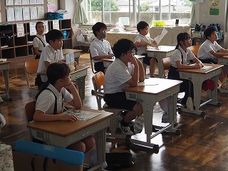 P8274682 P8274682