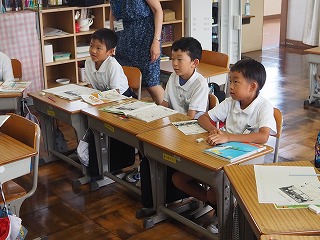 P8274694 P8274694