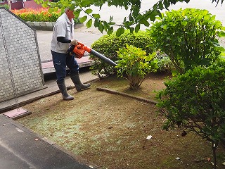 P9054704 P9054704