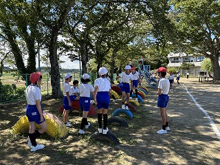 IMG_0534 IMG_0534