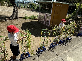 IMG_0524 IMG_0524