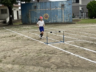 IMG_8302 IMG_8302