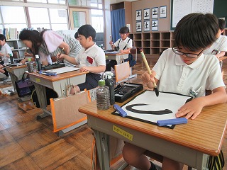 IMG_4335 IMG_4335