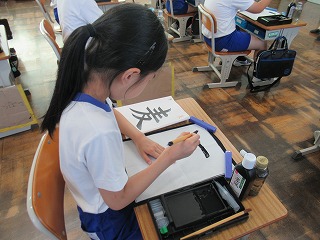 IMG_4347 IMG_4347