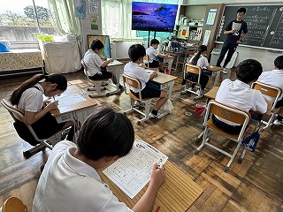 IMG_0786 IMG_0786
