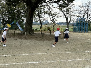 IMG_0793 IMG_0793