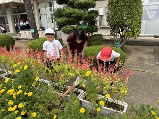 IMG_0818 IMG_0818