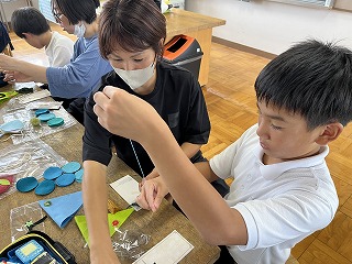 IMG_8387 IMG_8387