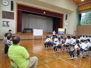 IMG_4541 IMG_4541